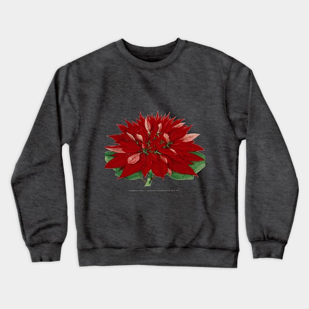 19th Century Flower Lithograph Crewneck Sweatshirt by Amaranthus Designs